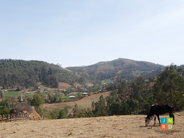 Carbon Storage of Wooden Houses, Trees, and Grazing Land in Rural Areas of Enemorina Ener District, Southern Ethiopia