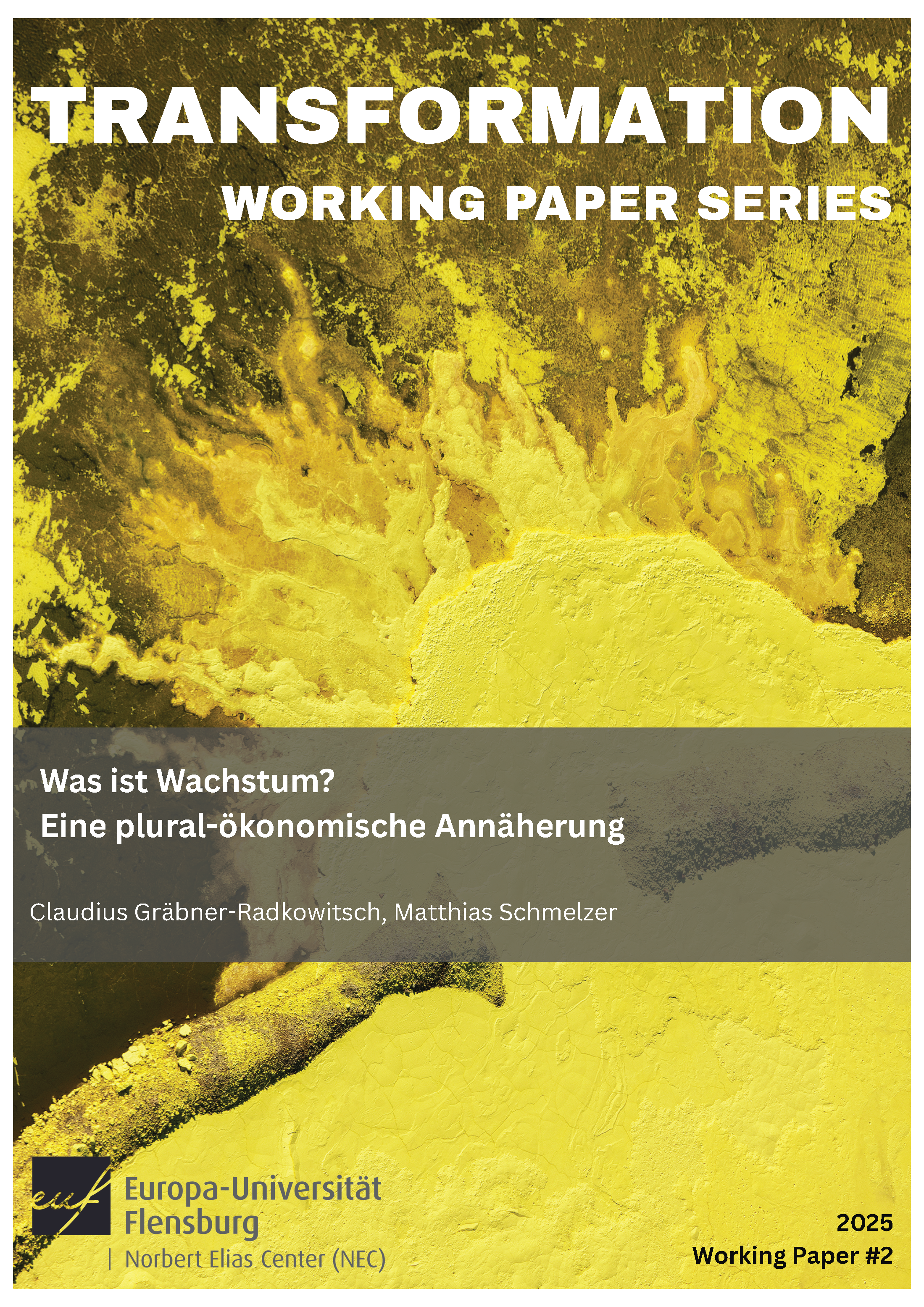 					Ansehen Working Paper 2 (2025): Was ist Wachstum? Eine plural-ökonomische Annäherung 
				